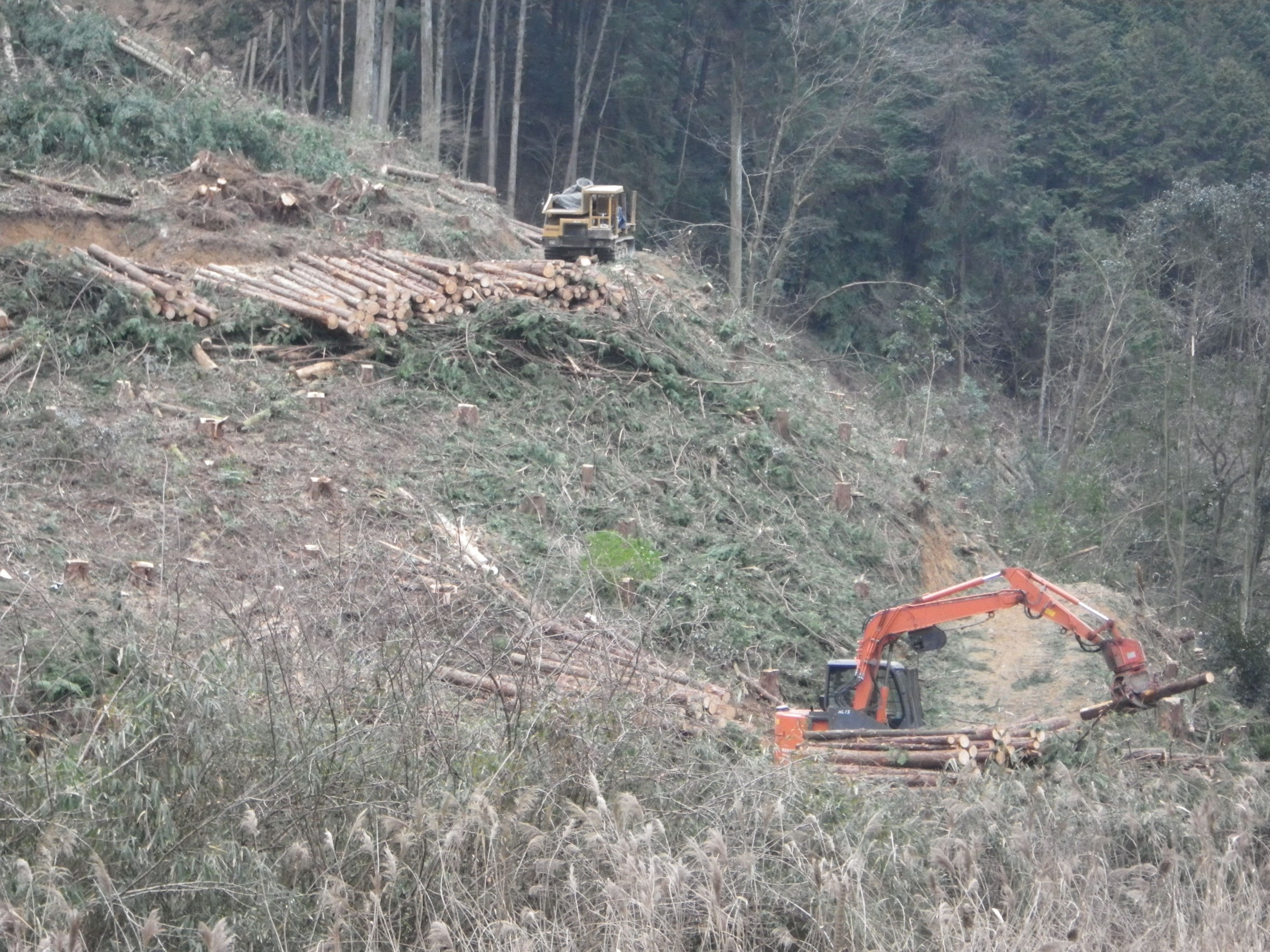 岡山県久米郡美咲町大戸上での皆伐による木材搬出作業
